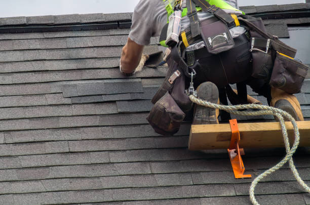 Best Flat Roof Repair Services  in Johnson City, NY