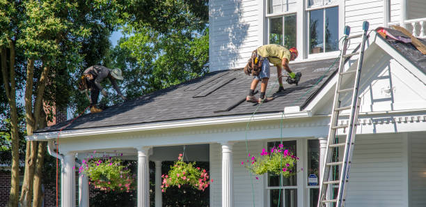 Best Metal Roofing Contractor  in Johnson City, NY