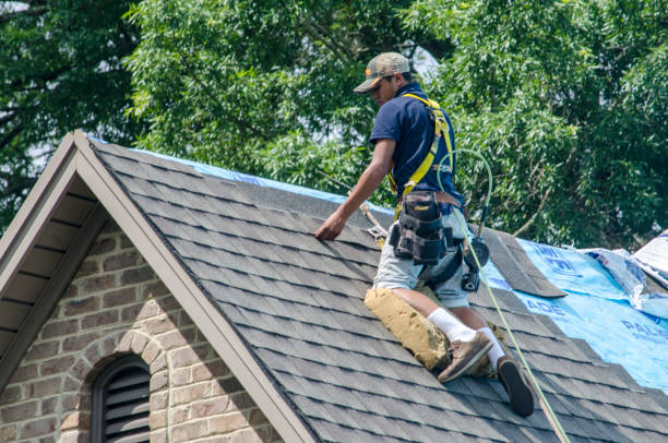 Best Roof Repair Services  in Johnson City, NY